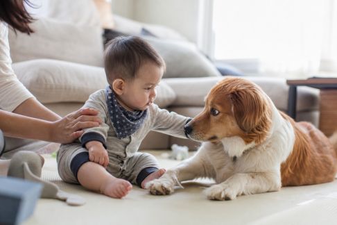 Bébé et animaux de compagnie : règles à mettre en place pour le bien-être de tous